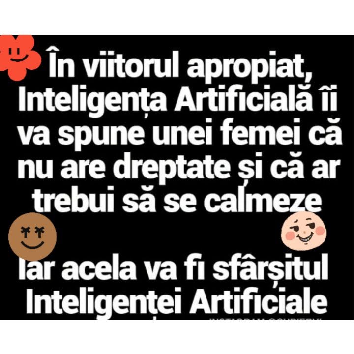 În viitorul apropiat, AI-ul îi va spune unei femei că nu are dreptate și că ar trebui să se calmeze. Iar acela va fi sfârșitul AI-ului