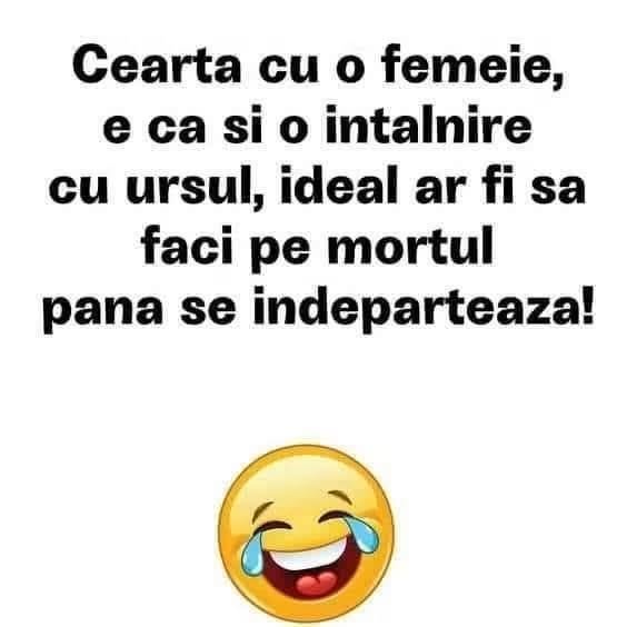 Cearta cu o femeie e ca o întâlnire cu ursul: ideal ar fi să faci pe mortul până se îndepărtează!
