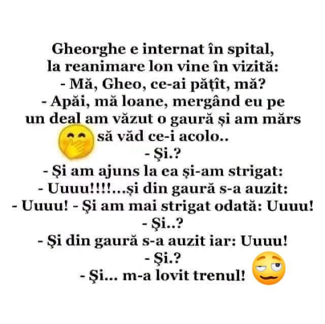 Gheo, ce-ai pățit? Am văzut o gaură în deal, am strigat Uuuu! și din gaură s-a auzit Uuuu! Și? M-a lovit trenul!