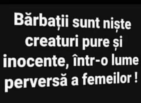 Bărbații sunt niște creaturi pure și inocente, într-o lume perversă a femeilor!
