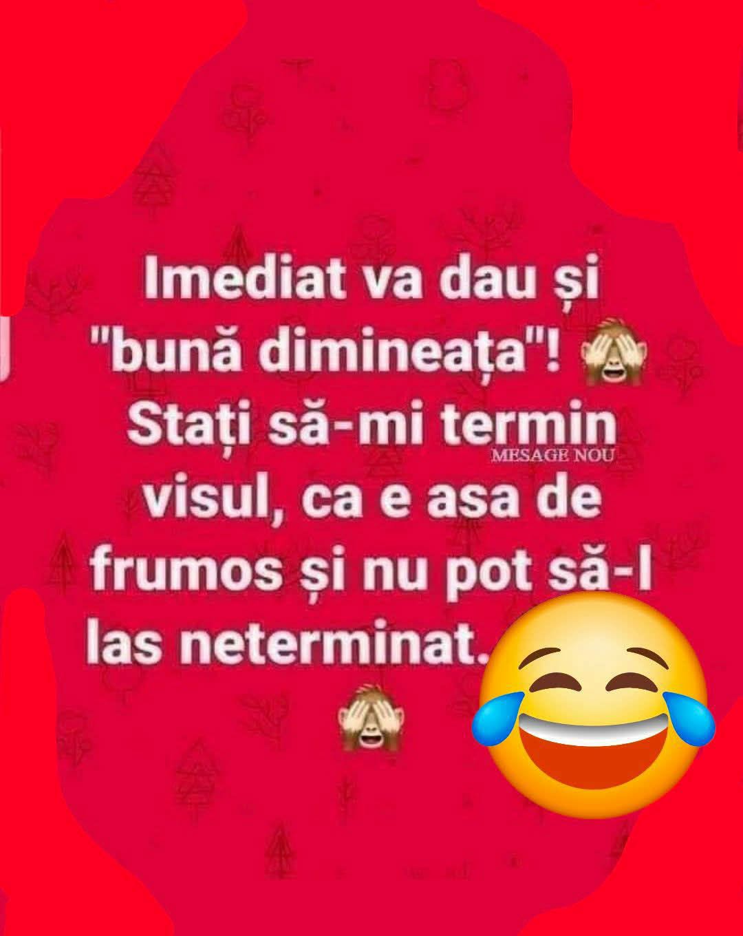Imediat vă dau și «bună dimineața»! Stați să-mi termin visul, că e așa de frumos și nu pot să-l las neterminat