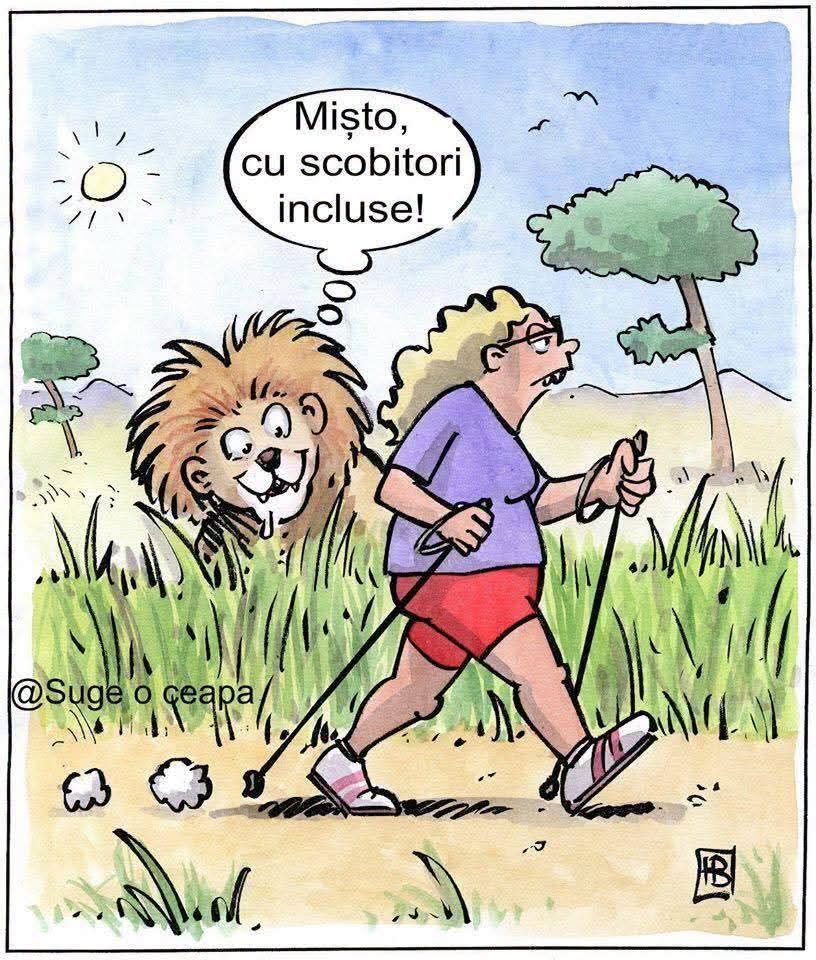 Mișto, cu scobitori incluse!