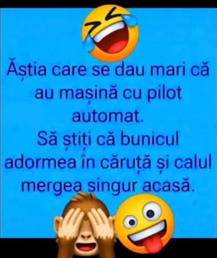 Ăștia care se dau mari că au mașină cu pilot automat să știe că bunicul adormea în căruță și calul mergea singur acasă