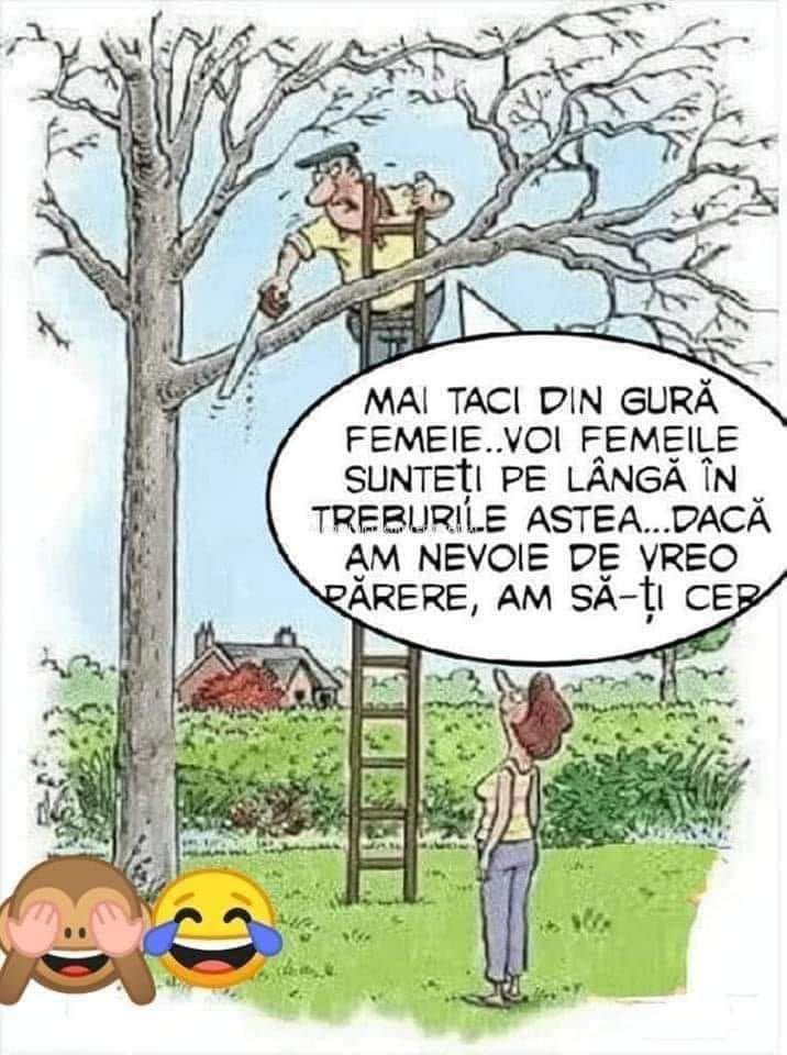 Mai taci din gură, femeie! Dacă am nevoie de vreo părere, am să-ți cer