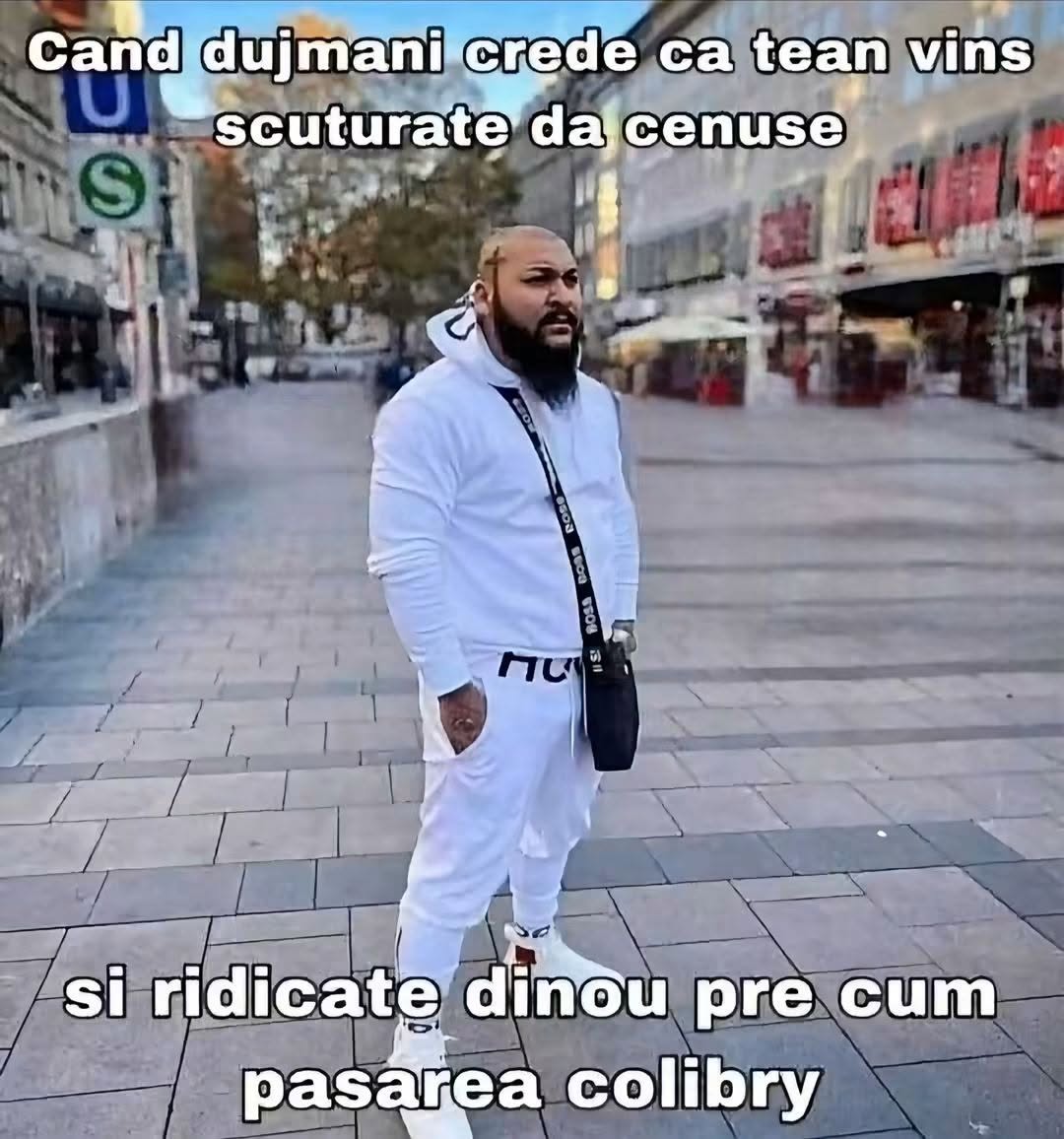 Când dușmanii cred că te-ai stins și te ridici din nou precum pasărea colibri