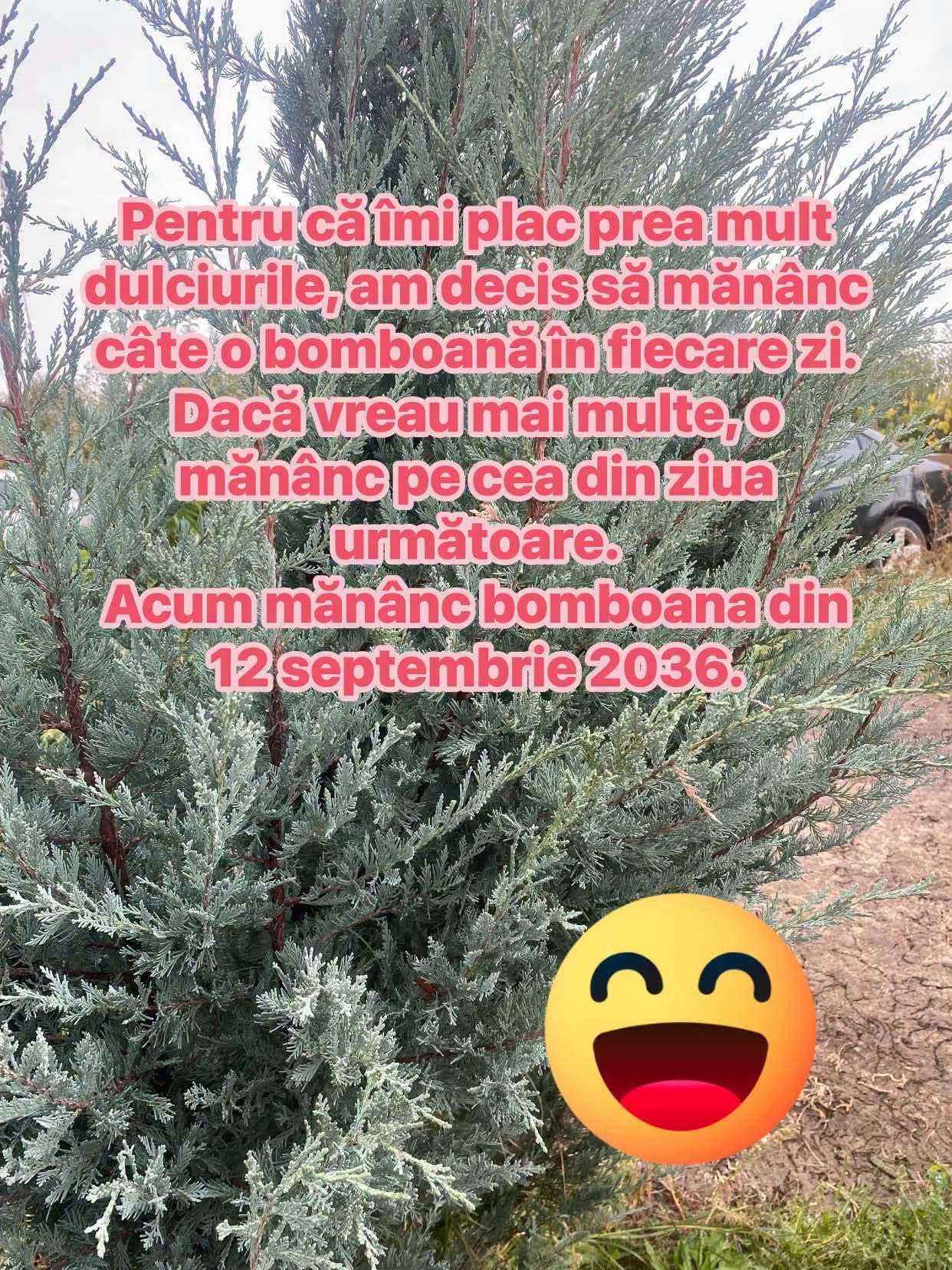 Am decis să mănânc o bomboană pe zi, acum mănânc bomboana din 12 septembrie 2036