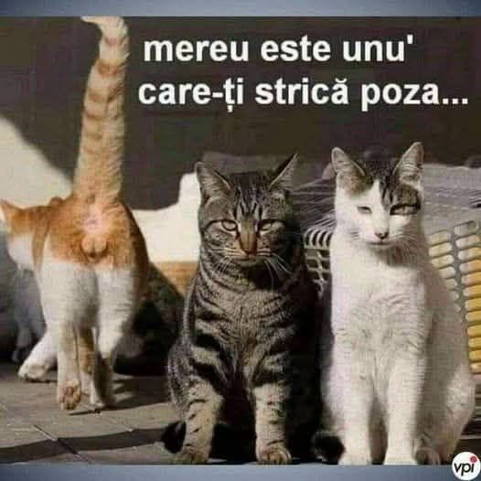 Mereu e unul care îți strică poza