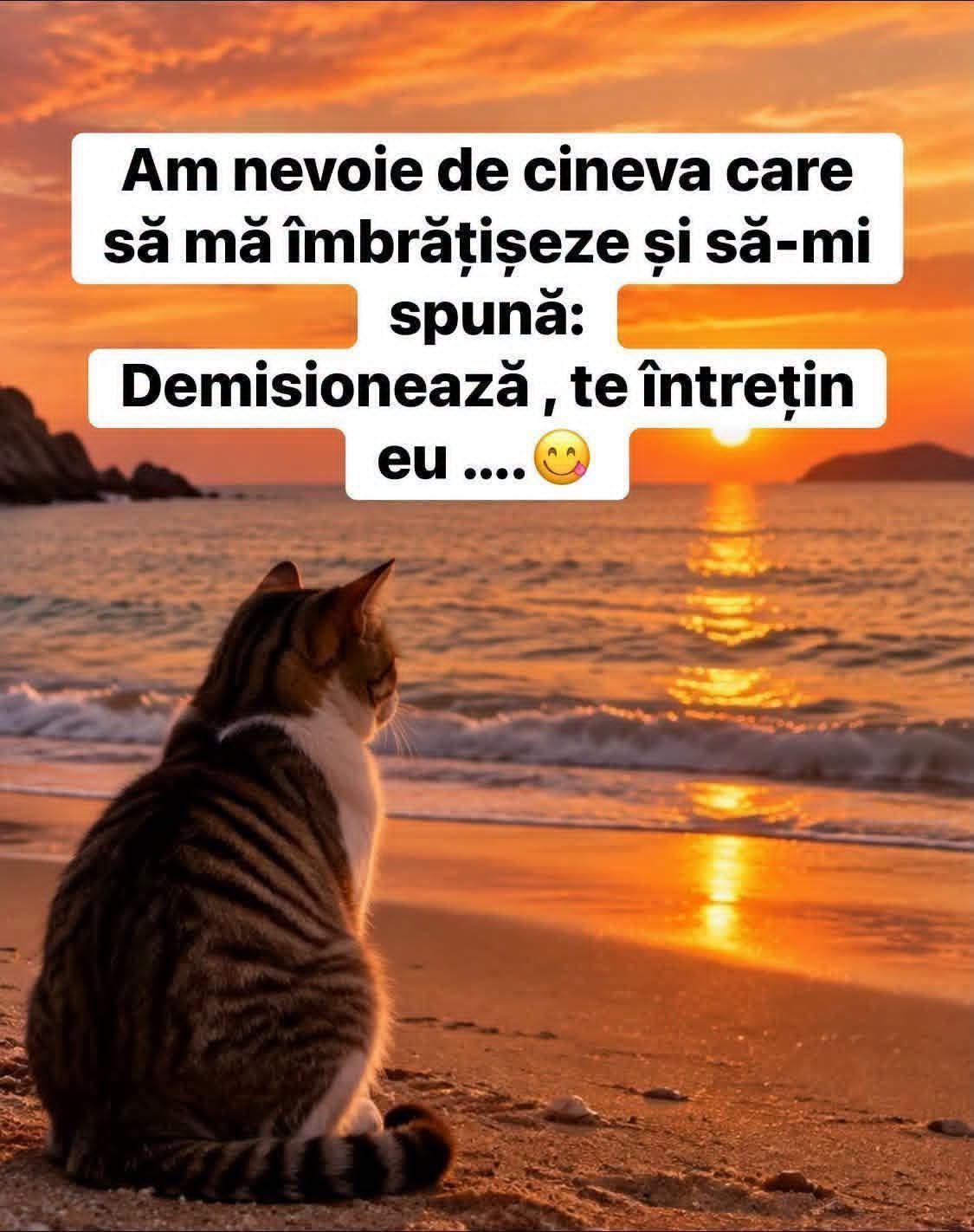 Am nevoie de cineva care să mă îmbrățișeze și să-mi spună: Demisionează, te întrețin eu