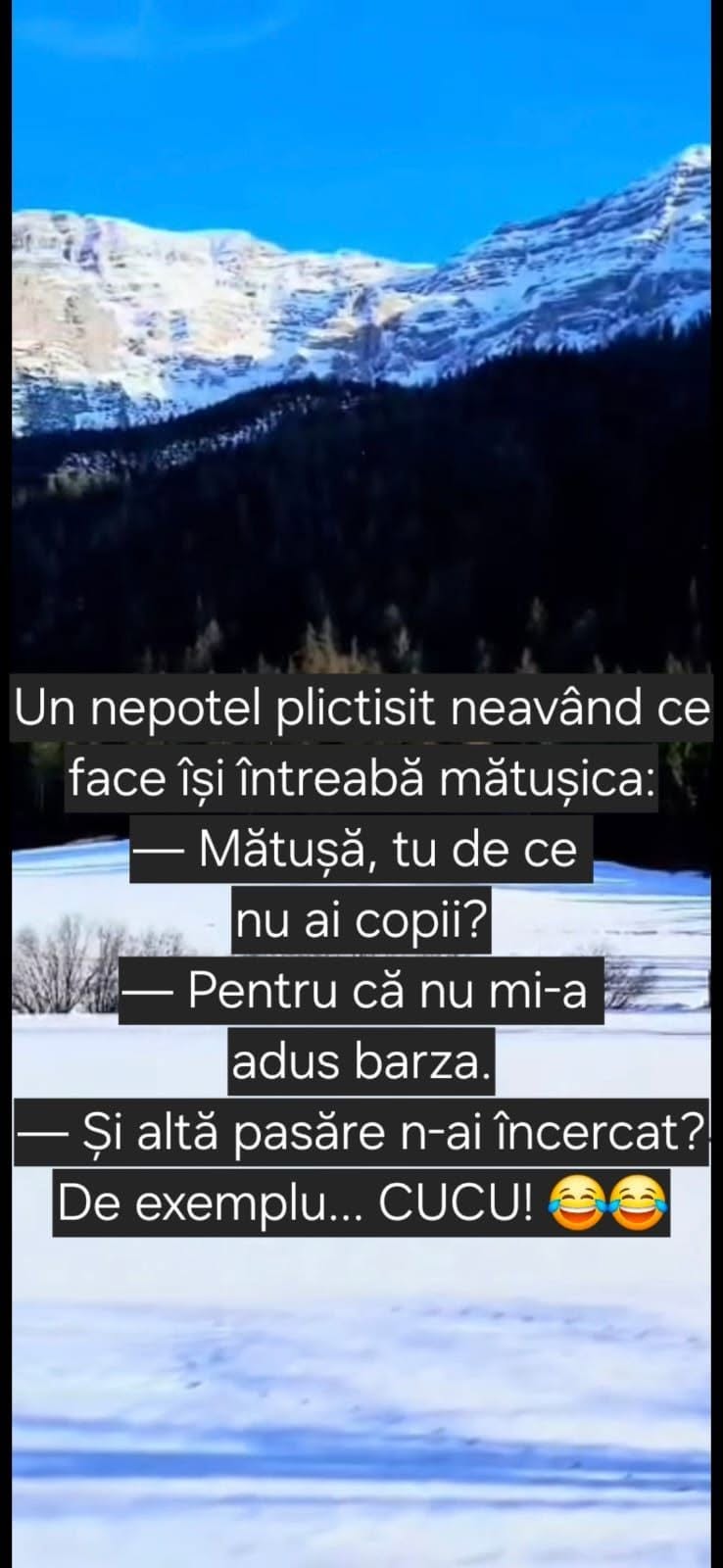 Mătușă, de ce nu ai copii? Nu m-a adus barza. Și altă pasăre n-ai încercat?