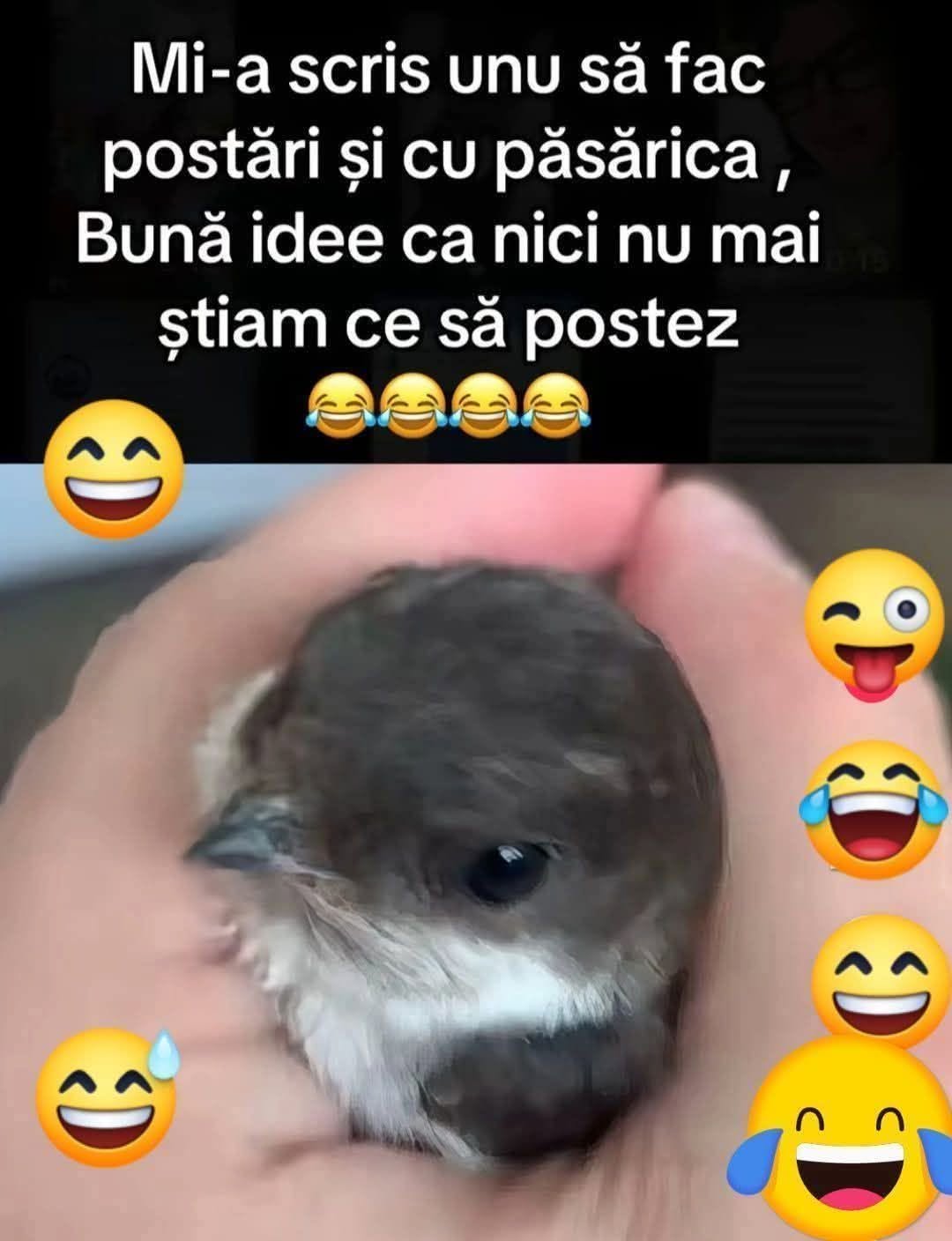 Mi-a scris unu să fac postări și cu păsărica