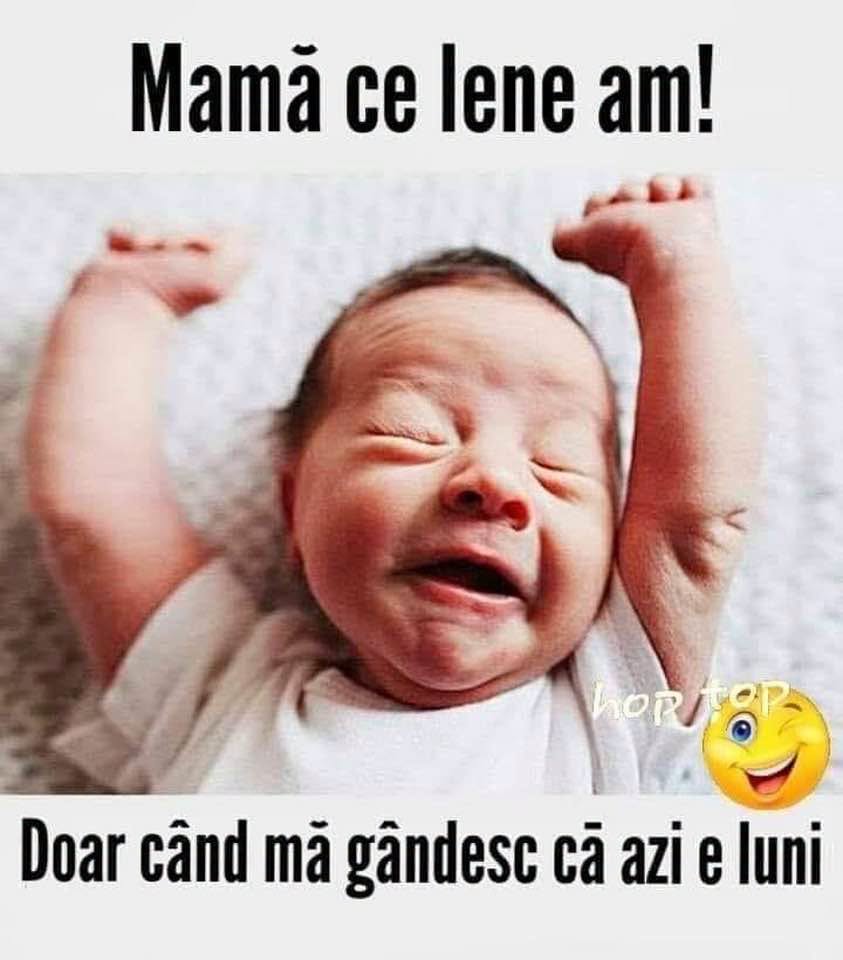 Mamă, ce lene am! Doar când mă gândesc că azi e luni