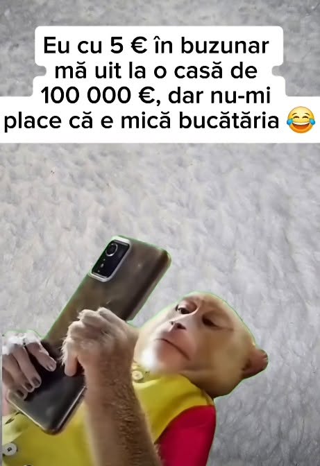Eu, cu 5 euro în buzunar, mă uit la o casă de 100.000 de euro, dar nu-mi place că e mică bucătăria