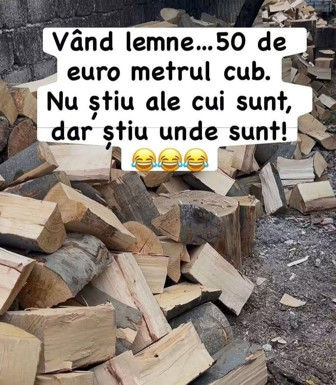 Vând lemne, 50 de euro metrul cub. Nu știu ale cui sunt, dar știu unde sunt!