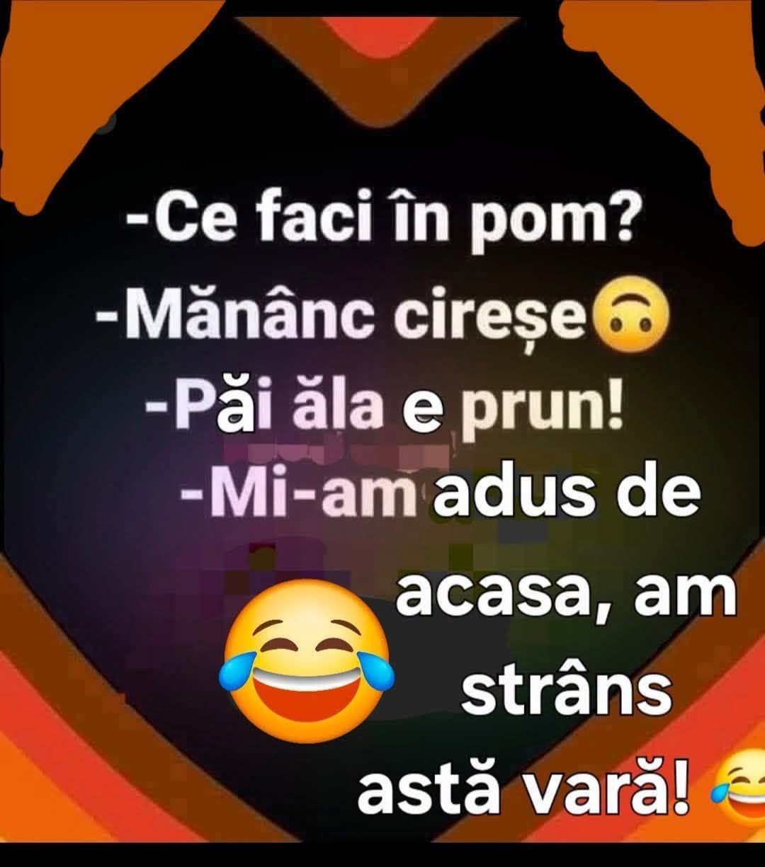 Ce faci în pom? Mănânc cireșe. Păi ăla e prun! Mi-am adus de acasă