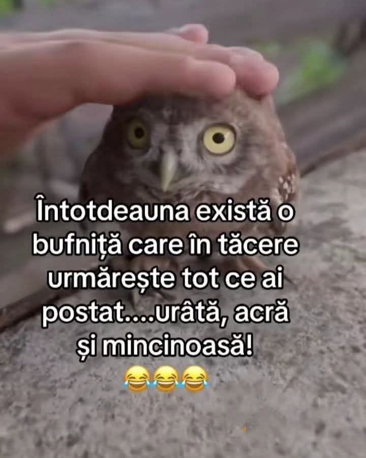 Întotdeauna există o bufniță care în tăcere urmărește tot ce ai postat