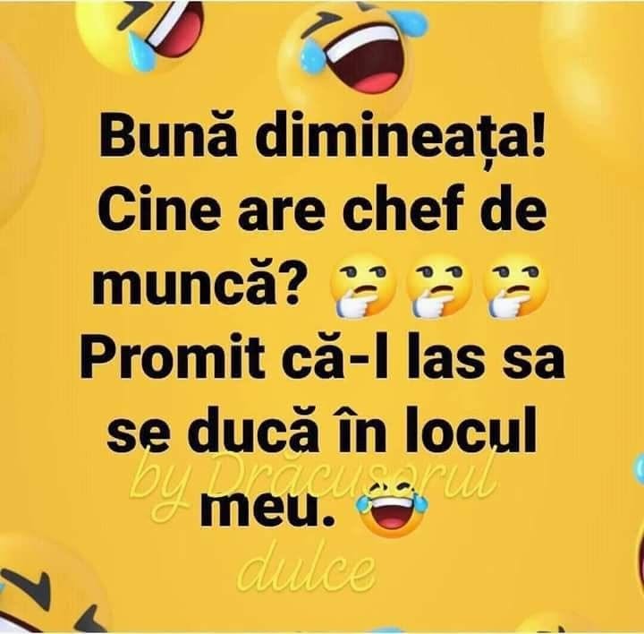 Bună dimineața! Cine are chef de muncă? Promit că-l las să se ducă în locul meu