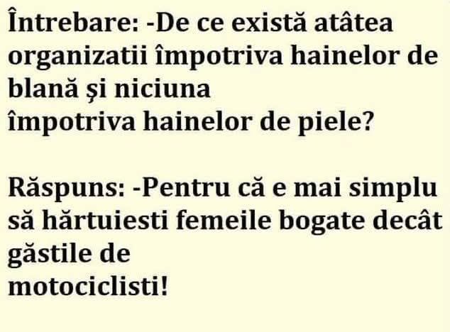 De ce există atâtea organizații împotriva hainelor de blană și niciuna împotriva celor de piele? E mai simplu să hărțuiești femeile bogate decât motocicliștii