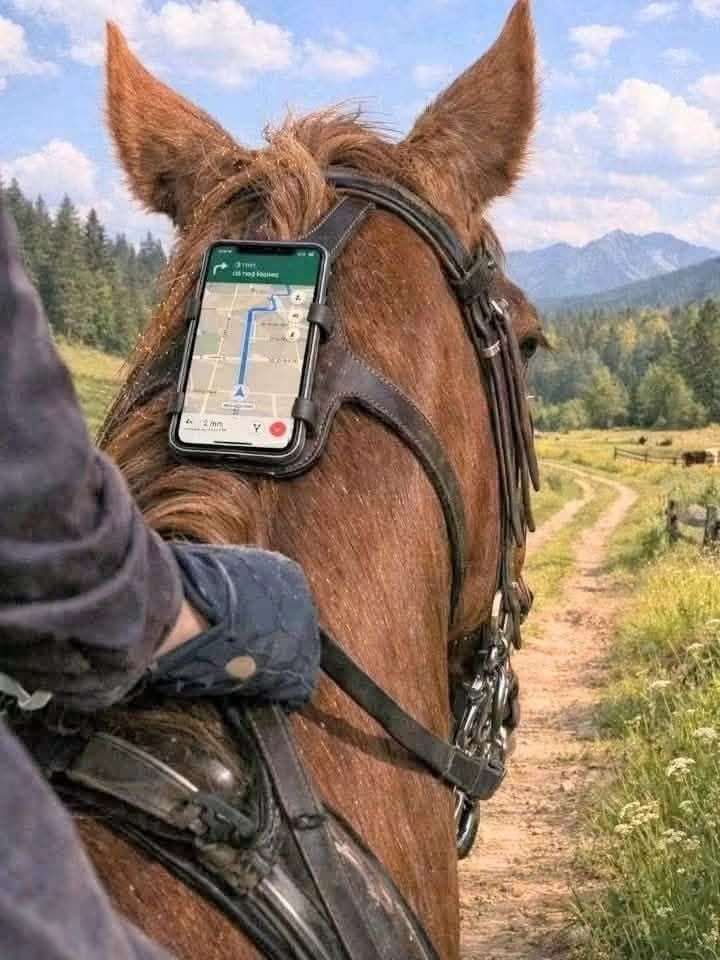 Când ai GPS și la cal