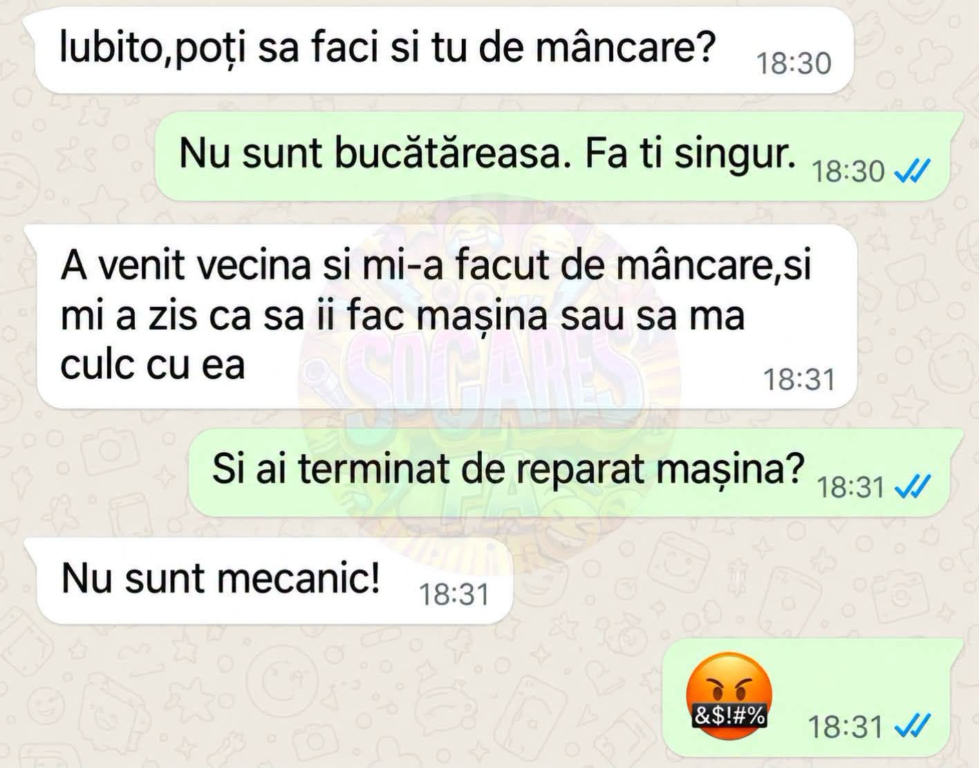 Nu sunt bucătăreasă! A venit vecina, mi-a făcut mâncare și mi-a zis să-i repar mașina sau să mă culc cu ea. Și ai reparat mașina? Nu sunt mecanic!
