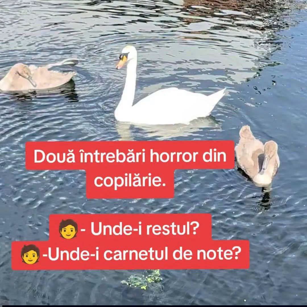 Două întrebări horror din copilărie: Unde-i restul? Unde-i carnetul de note?