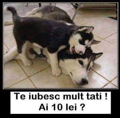 Te iubesc mult, tati! Ai 10 lei?
