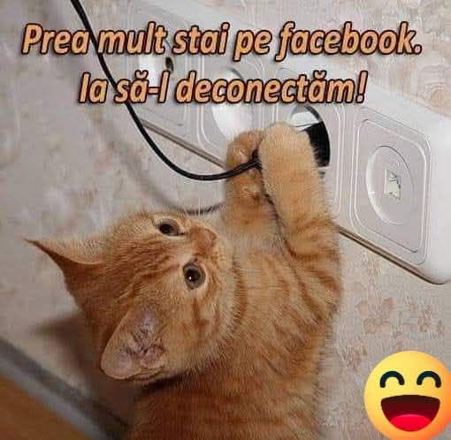 Prea mult stai pe Facebook. Ia să-l deconectăm!