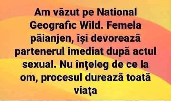 Am văzut pe National Geographic: femela păianjen își devorează partenerul imediat după actul sexual. Nu înțeleg de ce la om procesul durează toată viața
