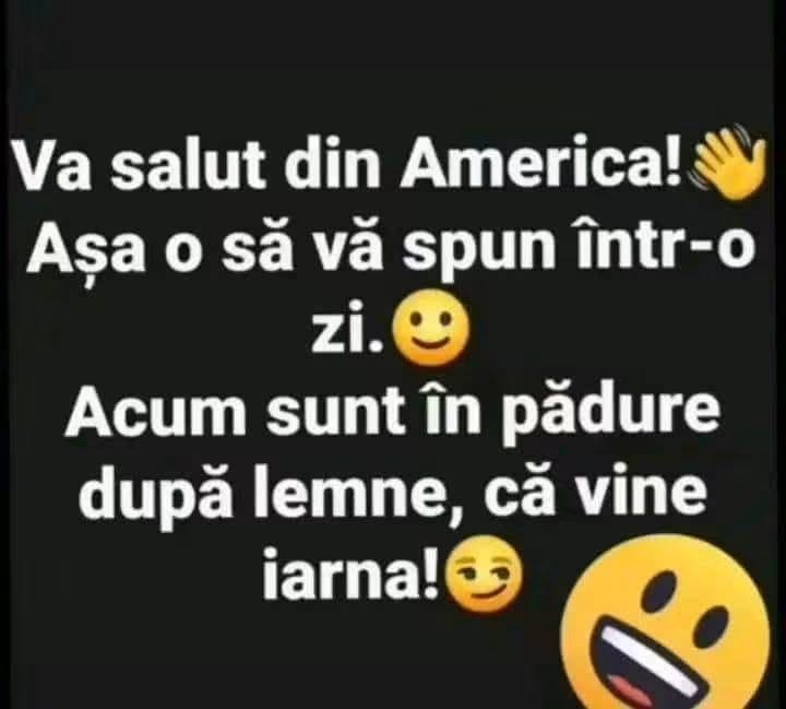 Vă salut din America! Așa o să vă spun într-o zi. Acum sunt în pădure după lemne, că vine iarna!