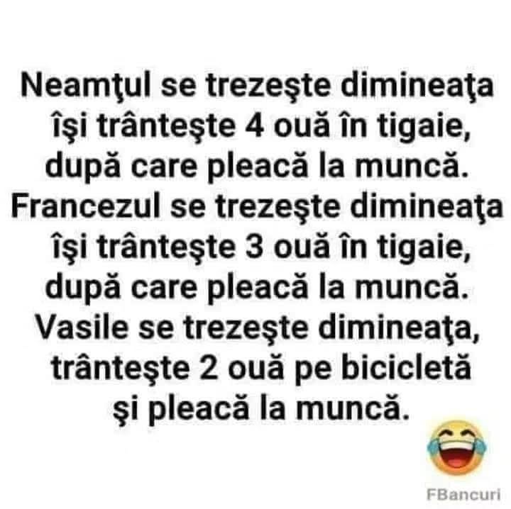 Neamțul își trântește 4 ouă în tigaie și pleacă la muncă. Francezul, 3 ouă. Vasile trântește 2 ouă pe bicicletă și pleacă la muncă