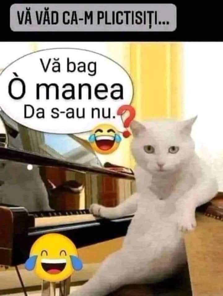 Vă văd că m-ați plictisit... vă bag o manea. Da sau nu?