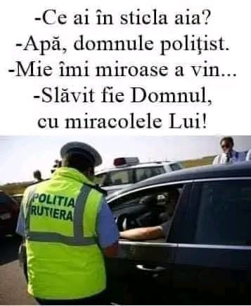 Ce ai în sticla aia? Apă, domnule polițist. Mie îmi miroase a vin... Slăvit fie Domnul, cu miracolele Lui!