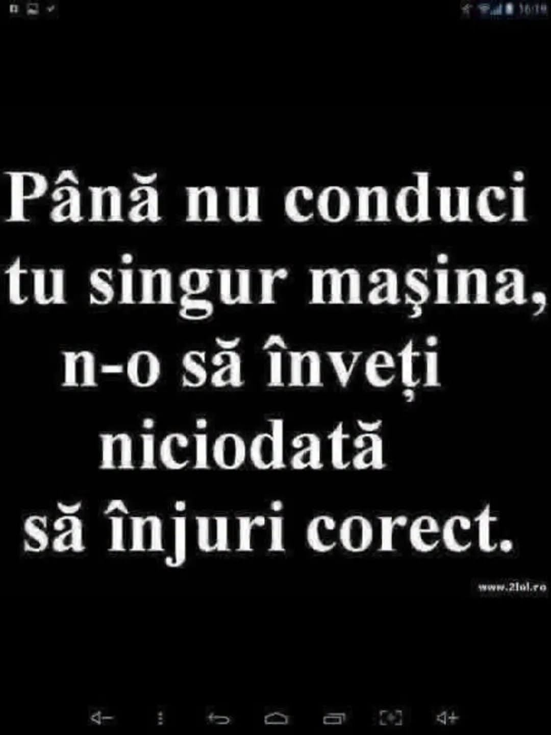 Până nu conduci tu singur mașina, n-o să înveți niciodată să înjuri corect