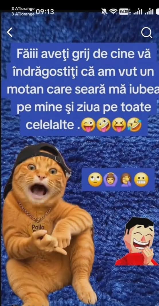Fiii, aveți grijă de cine vă îndrăgostiți: am avut un motan care seara mă iubea pe mine și ziua pe toate celelalte