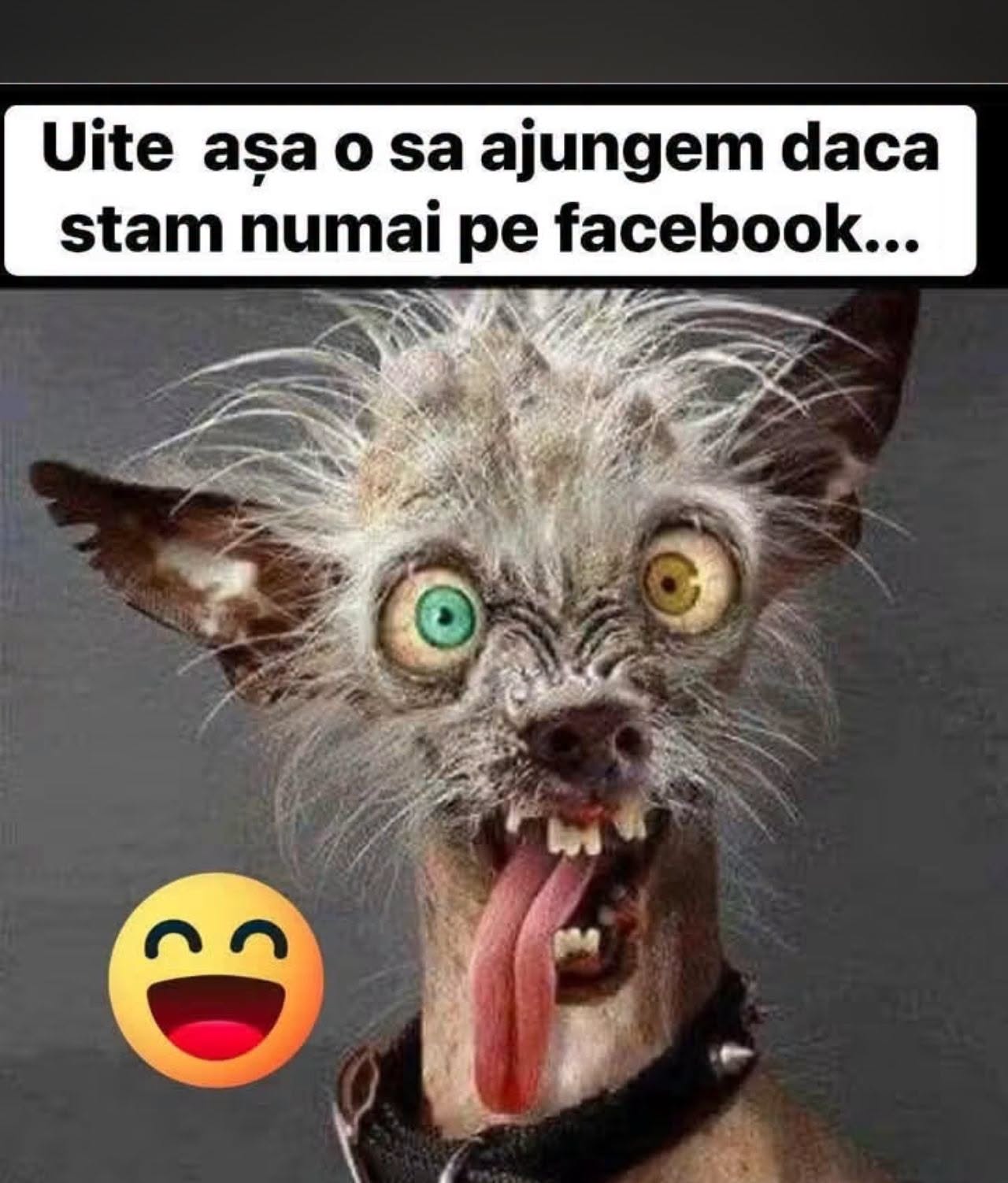 Uite așa o să ajungem dacă stăm numai pe Facebook...