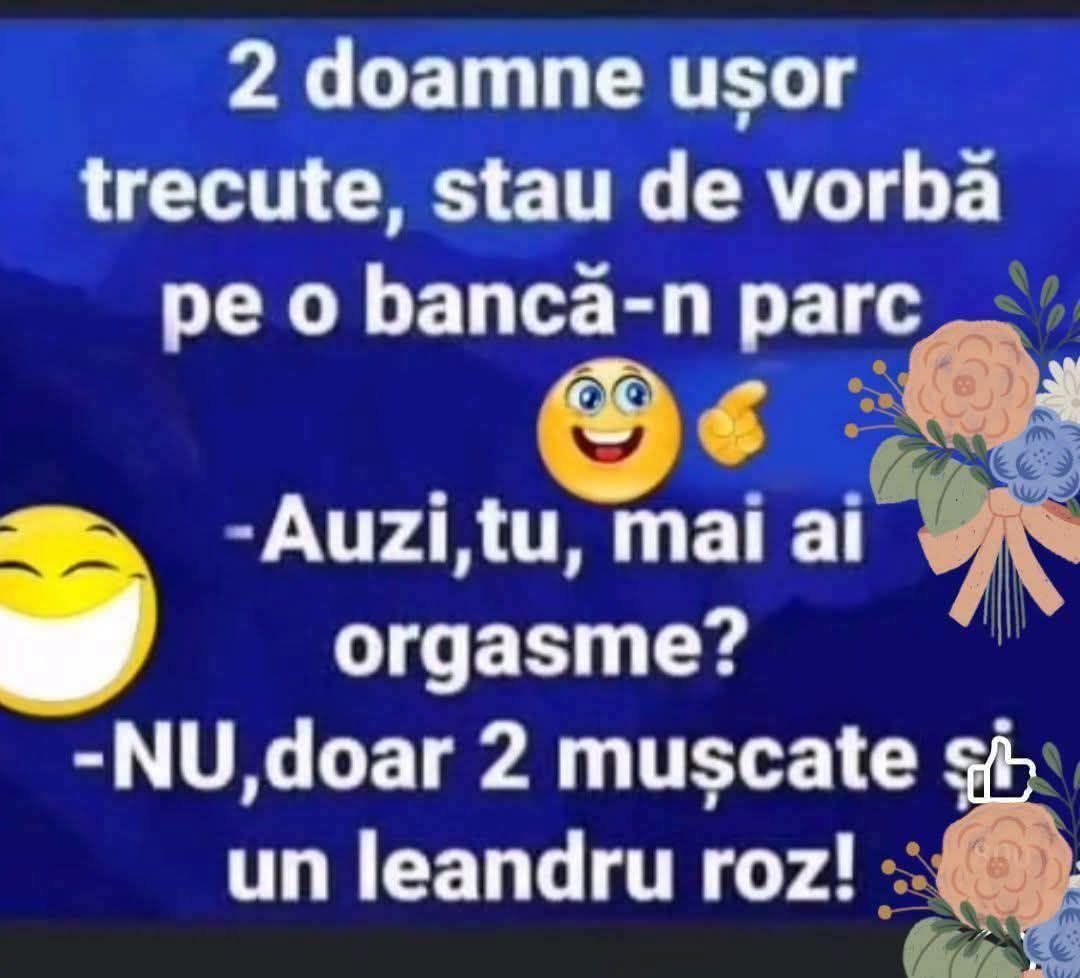 2 doamne ușor trecute stau de vorbă în parc: Mai ai orgasme? Nu, doar 2 mușcate și un leandru roz!