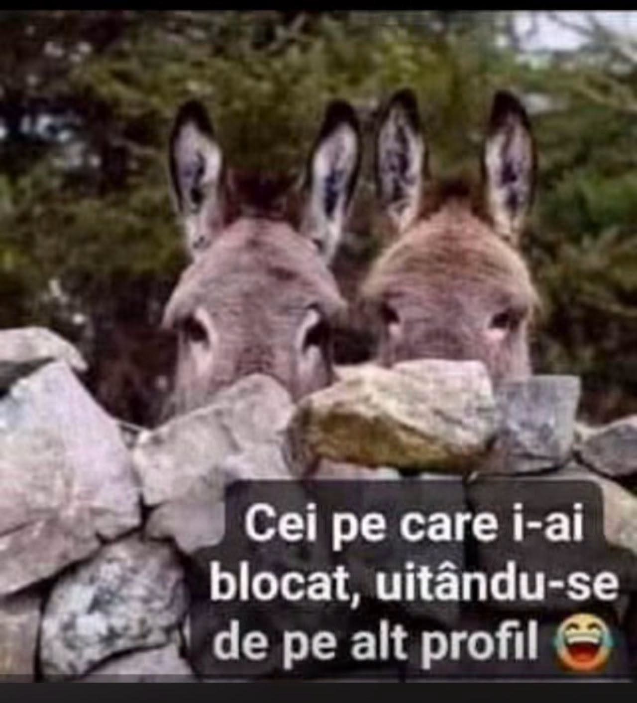 Cei pe care i-ai blocat, uitându-se de pe alt profil