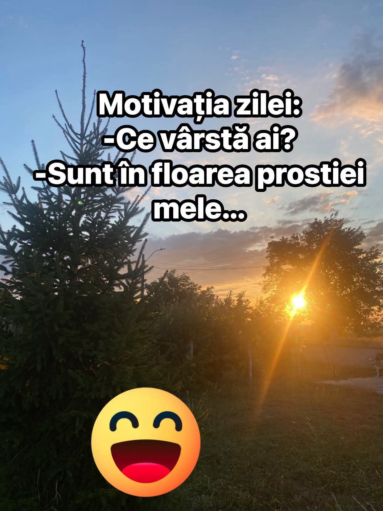 Motivația zilei: Ce vârstă ai? Sunt în floarea prostiei mele...