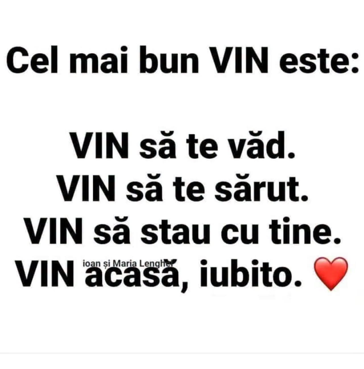 Cel mai bun VIN este: VIN să te văd, VIN să te sărut, VIN să stau cu tine, VIN acasă, iubito