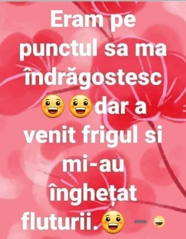 Eram pe punctul să mă îndrăgostesc, dar a venit frigul și mi-a înghețat fluturii