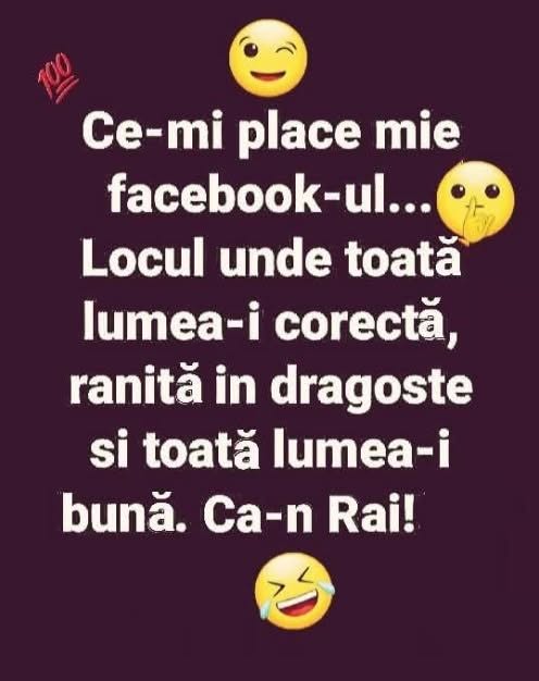 Ce-mi place mie Facebook-ul: locul unde toată lumea-i corectă, rănită în dragoste și bună. Ca-n Rai!