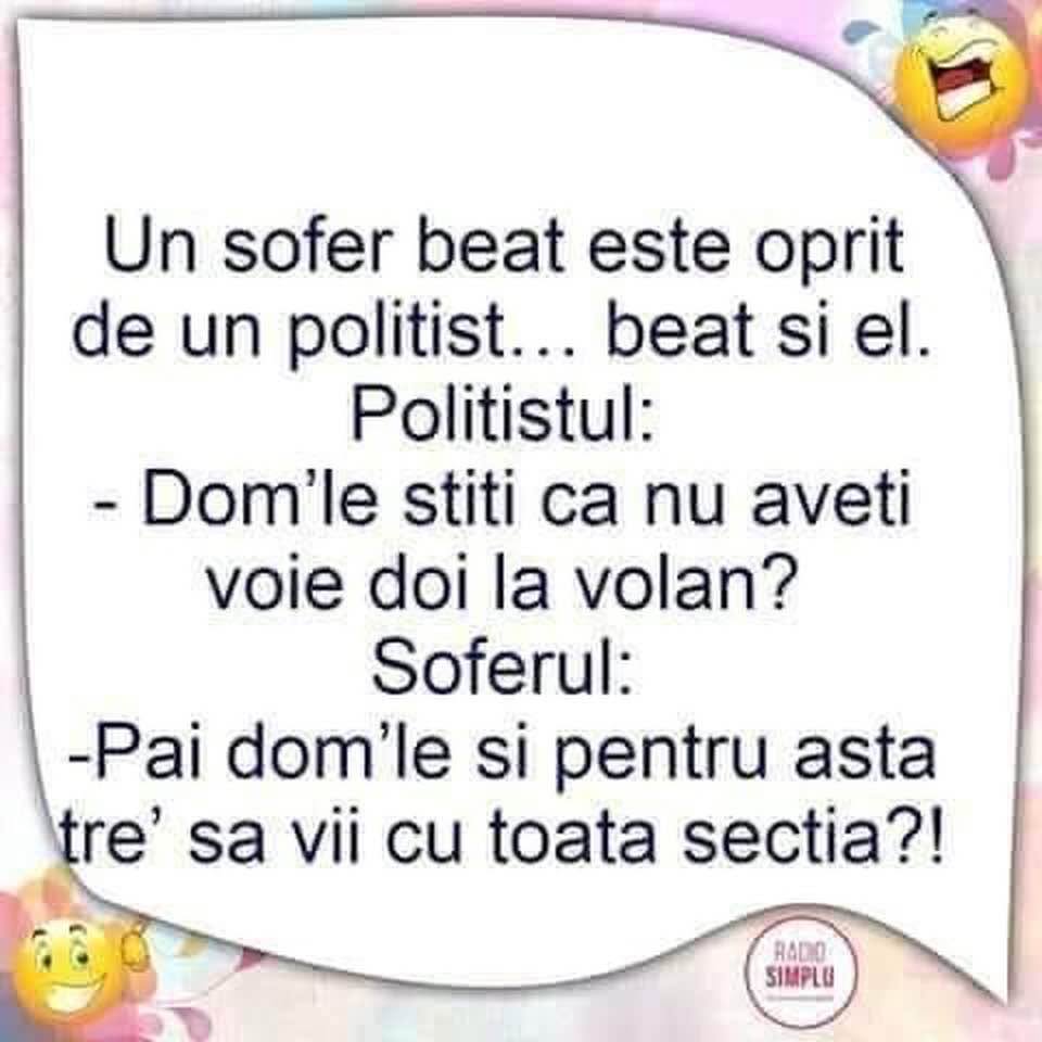 Un șofer beat e oprit de un polițist beat: Știți că nu aveți voie doi la volan? Păi, pentru asta trebuia să vii cu toată secția?!