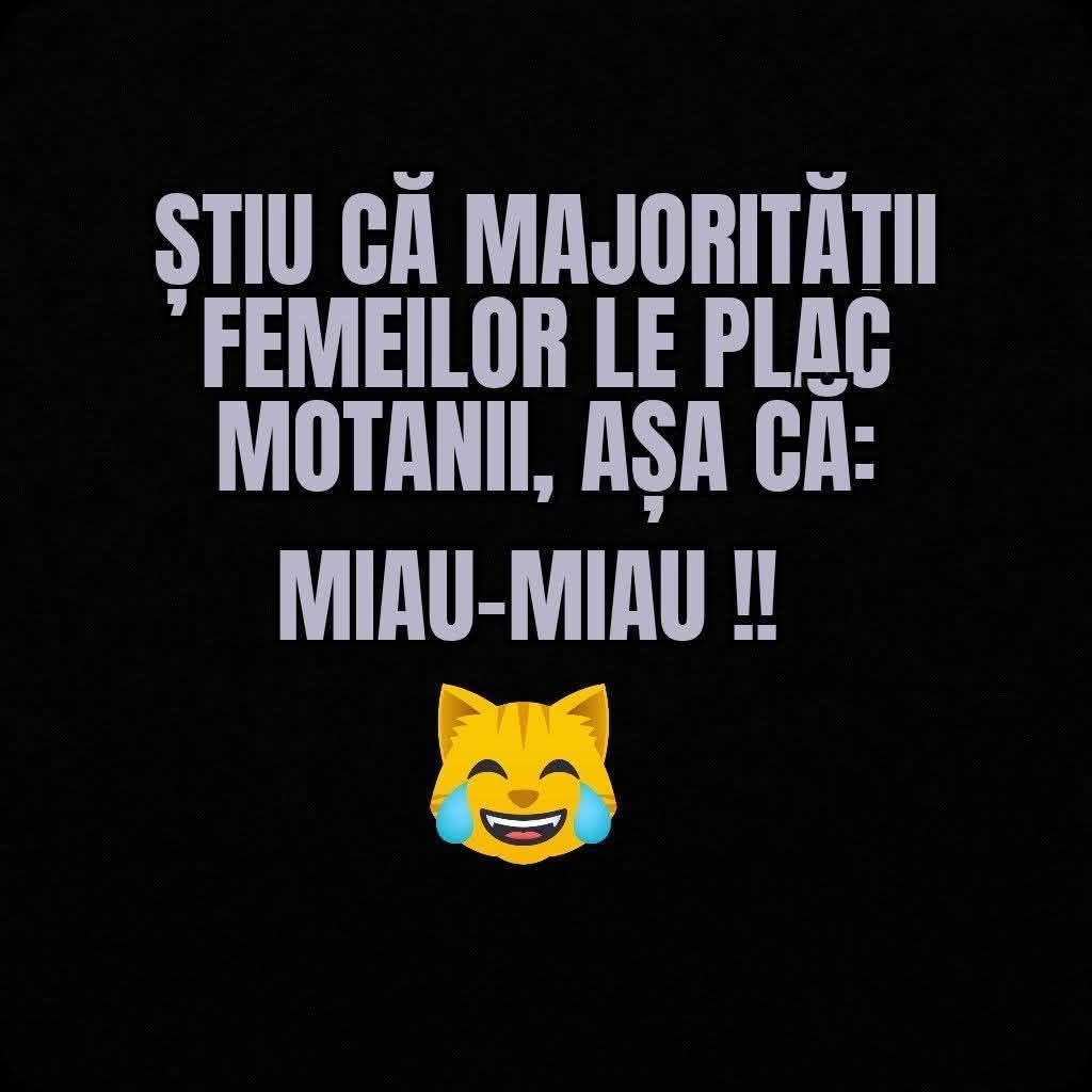 Știu că majorității femeilor le plac motanii, așa că: miau-miau!