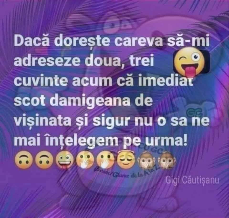 Dacă dorește careva să-mi adreseze două-trei cuvinte, scot imediat damigeana de vișinată și sigur nu o să ne mai înțelegem pe urmă!