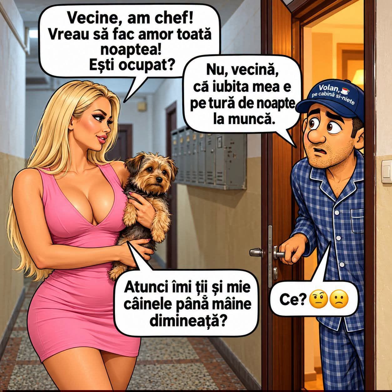 Vecine, am chef să fac amor toată noaptea. Ești ocupat? Nu, vecină, iubita mea e pe tură de noapte! Atunci îmi ții și mie câinele până mâine?
