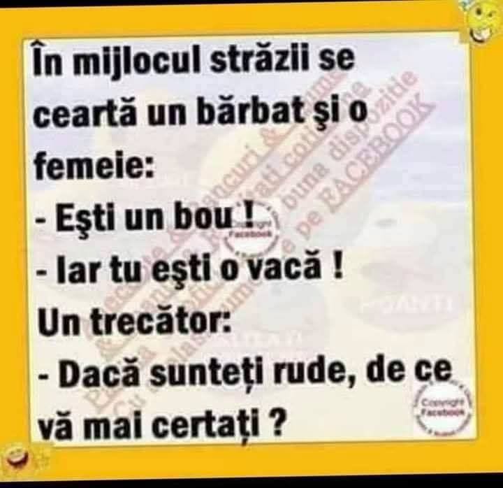 În mijlocul străzii se ceartă un bărbat și o femeie: Ești un bou! Iar tu o vacă! Un trecător: Dacă sunteți rude, de ce vă mai certați?