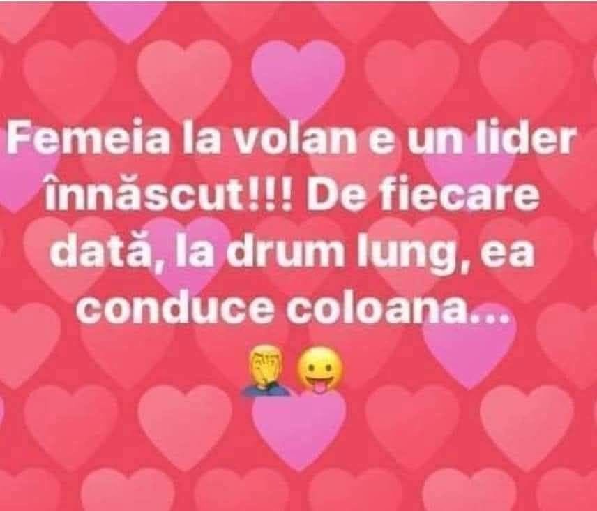 Femeia la volan e un lider înnăscut! De fiecare dată, la drum lung, ea conduce coloana...