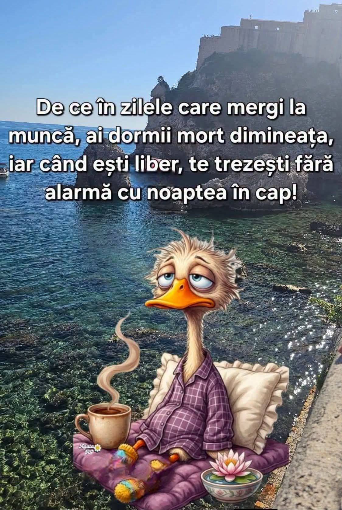 De ce în zilele de muncă dormi mort dimineața, iar când ești liber te trezești fără alarmă cu noaptea-n cap?