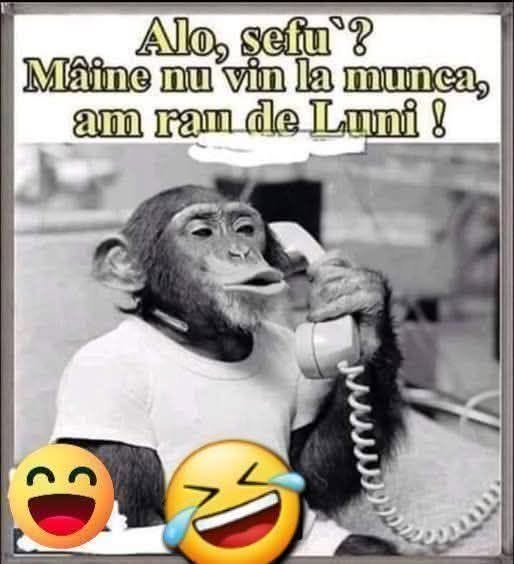 Alo, șefu'? Mâine nu vin la muncă, am rău de luni!