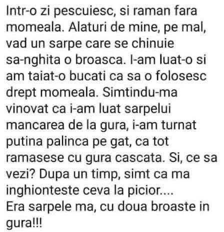 Pescuiam fără momeală și am luat o broască din gura unui șarpe. Vinovat, i-am turnat palincă pe gât. Peste un timp, simt ceva la picior: șarpele, cu două broaște în gură!