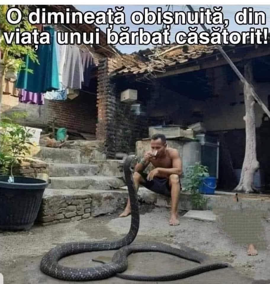 O dimineață obișnuită din viața unui bărbat căsătorit